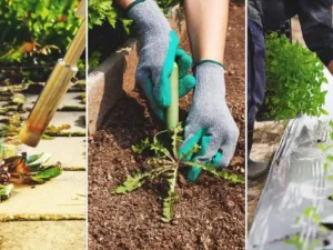 weed control