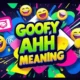 The Goofy Ahh Meaning