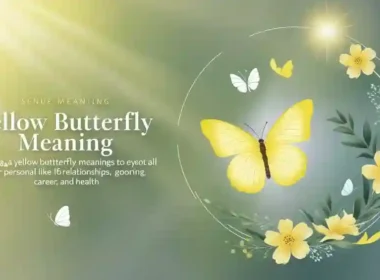 Yellow Butterfly Meaning