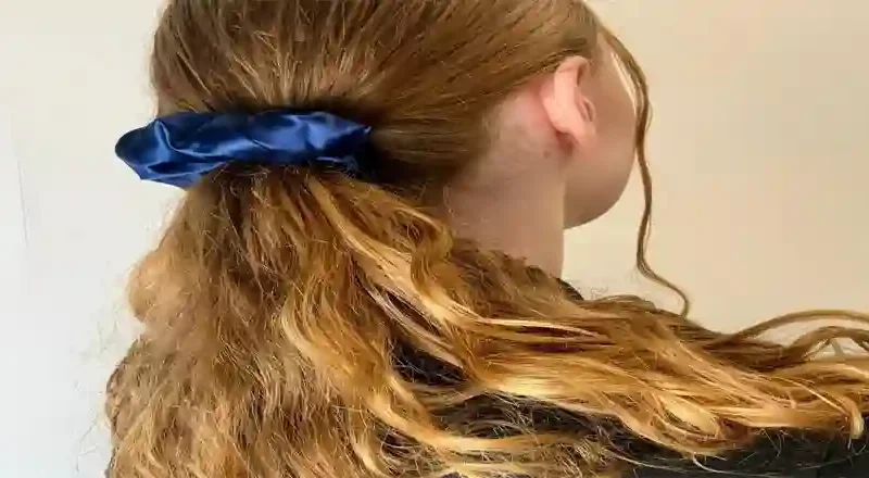 silk hair scrunchies